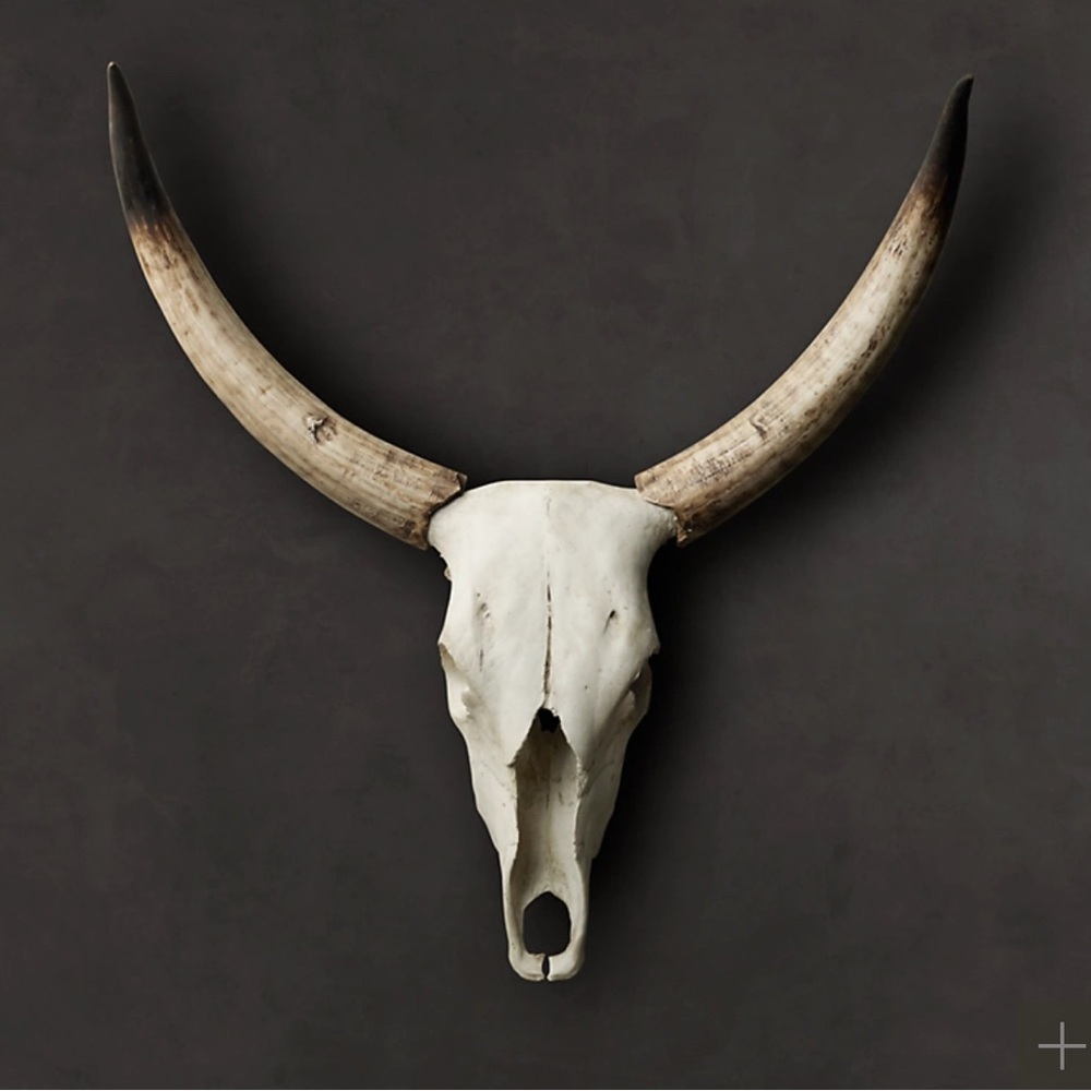 Restoration Hardware Horned Skull Wall Decor - Cream and Brown